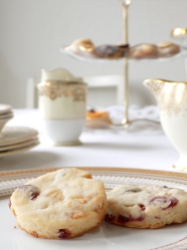 Biscuits with Coconut, Cranberries, White Chocolate and Lemon